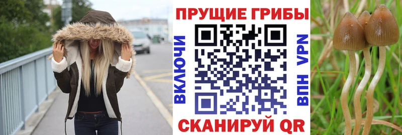 Галлюциногенные грибы мухоморы  Знаменск 